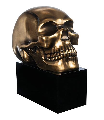 Skull Object