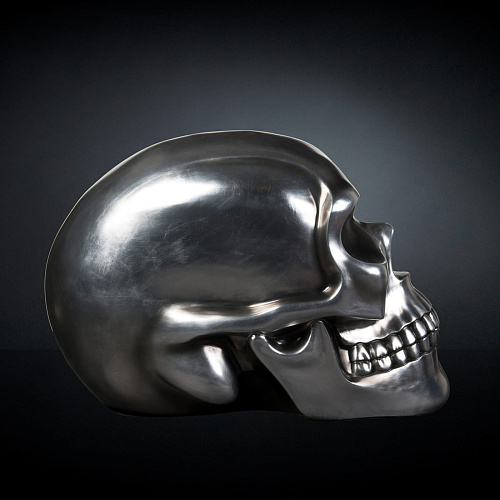 Skull Object