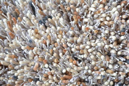 Young 61801 Rug