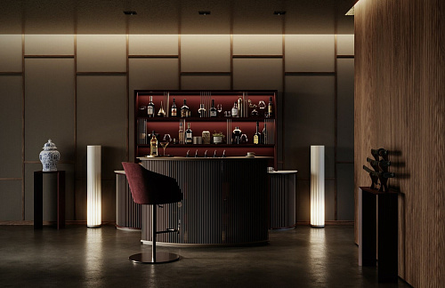 Dry Handcrafted Home Bar with Counter