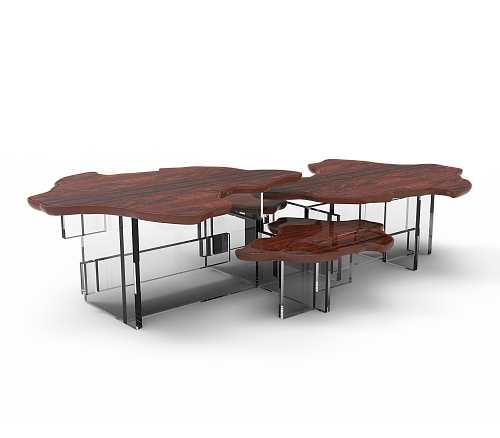 Artisan Designer Coffee Table