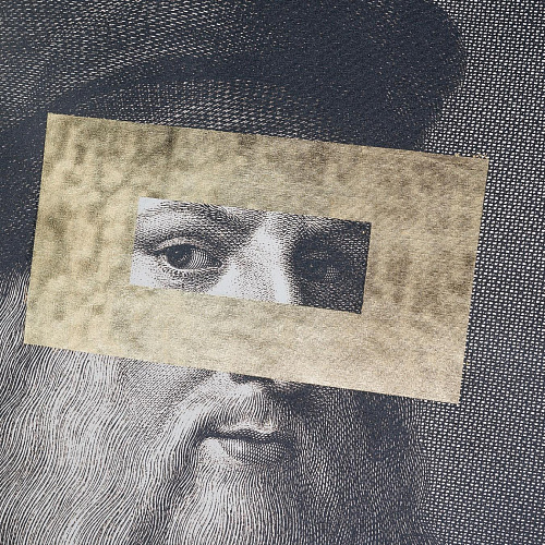 Leonardo Eye Decorative Panel