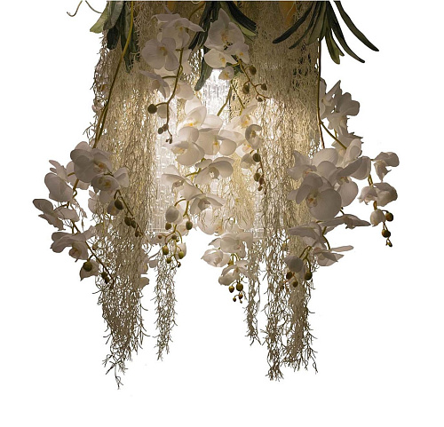 Phalaenopsis Decorative Chandelier