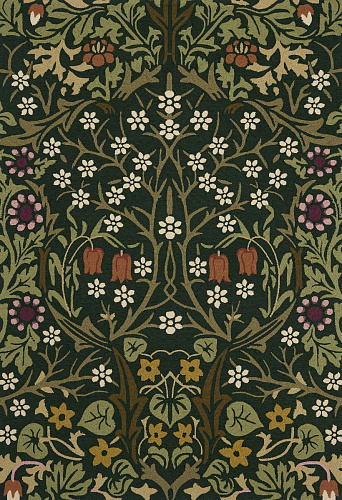 Blackthorn Tump outdoor 428507 Rug