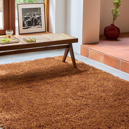 Sprout Terracotta 013323 Rug