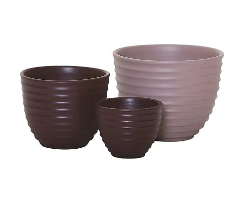 Bulbo Bowl