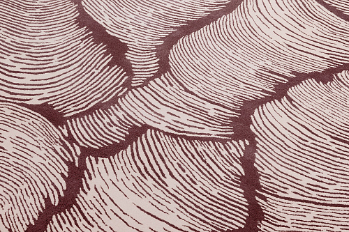 Designer Cinnamon Rug