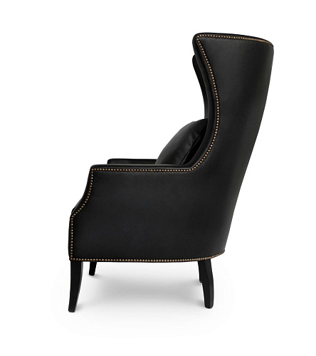 Elegant Design Armchair