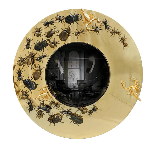 Curved Evolution Mirror