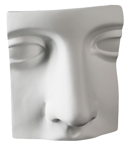 Juno Nose Sculptural Piece