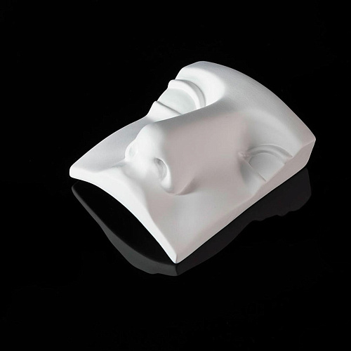 Juno Nose Sculptural Piece