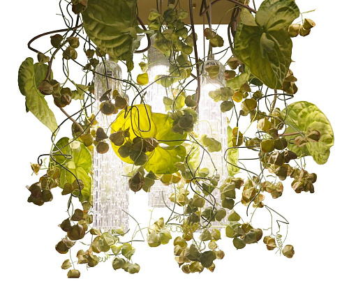 Physalis Anthurium Chandelier