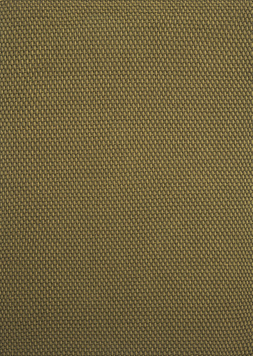 Lace Thyme-Pine Outdoor 497207 Rug