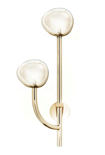 Honey Glass 2-Light Wall Lamp in Soft Gold Finish