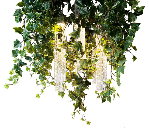 Ivy Design Chandelier