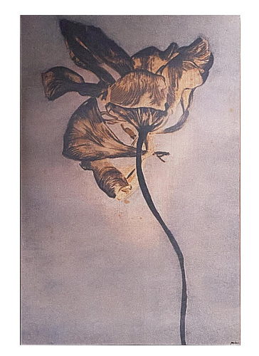 Flower Painting